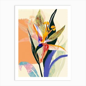 Colourful Flower Illustration Bird Of Paradise 2 Art Print