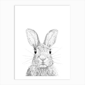 Bunny Animal Print Art Print