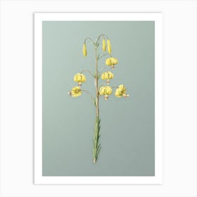 Vintage Lilium Pyrenaicum Botanical Art on Mint Green n.0623 Art Print