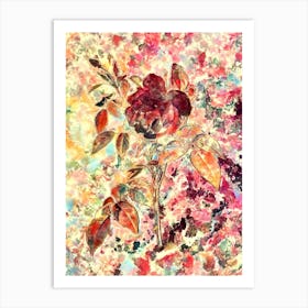Impressionist Fragrant Rosebush Botanical Painting in Blush Pink and Gold Art Print