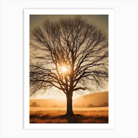 Bare Tree At Sunset Art Print