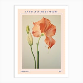 Amaryllis 2 French Flower Botanical Poster Art Print