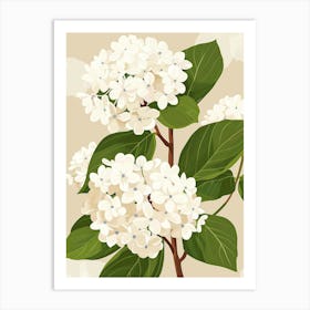 White Hydrangeas On A Branch Art Print