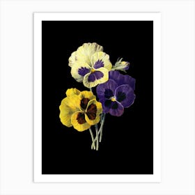 Pansies 2 Art Print