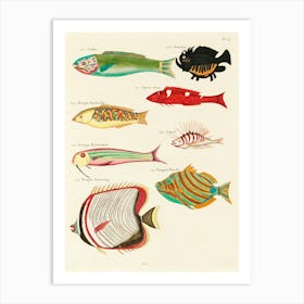 Colourful And Surreal Illustrations Of Fishes Found In Moluccas (Indonesia) And The East Indies, Louis Renard(35) Art Print