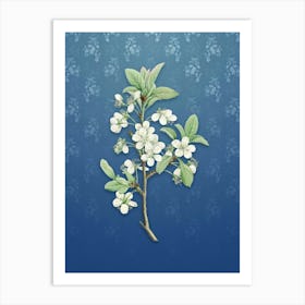 Vintage White Plum Flower Botanical on Bahama Blue Pattern n.1716 Art Print