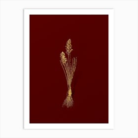 Vintage Autumn Squill Botanical in Gold on Red n.0056 Art Print