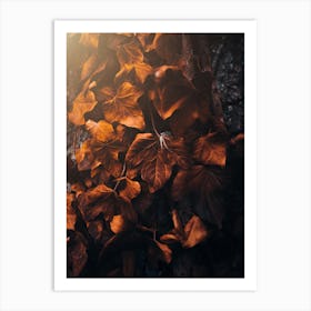 Autumn Leaves 3 Art Print