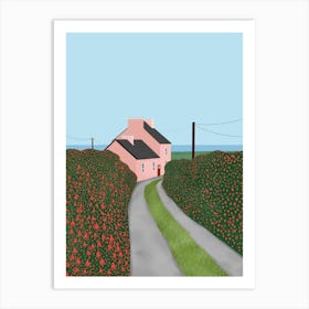 Irish Cottage with Fuchsia Flowers Art Print