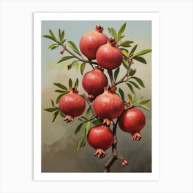 Pomegranate Tree 1 Art Print