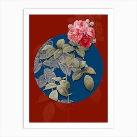 Vintage Botanical Seven Sisters Roses on Circle Blue on Red n.0210 Art Print