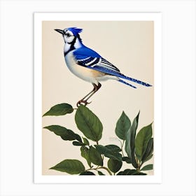 Blue Jay James Audubon Vintage Style Bird Art Print