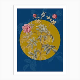 Vintage Botanical Vintage Cinnamon Rose on Circle Yellow on Blue Art Print