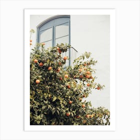 Oranges and Window in White Art Print