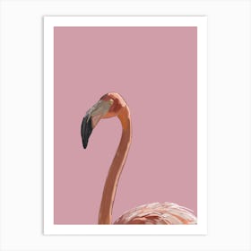 Flamingo pink Art Print