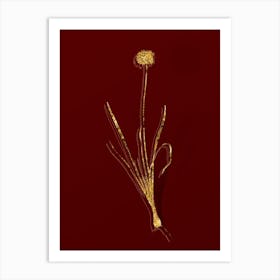 Vintage Mouse Garlic Botanical in Gold on Red n.0430 Art Print