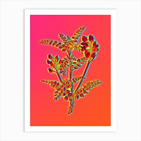 Neon Calophaca Wolgarica Botanical in Hot Pink and Electric Blue Art Print