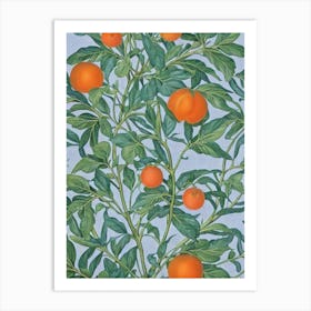 Clementine Vintage Botanical Fruit Art Print