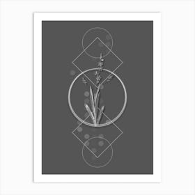 Vintage Ixia Scillaris Botanical with Line Motif and Dot Pattern in Ghost Gray Art Print