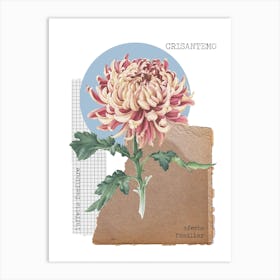 Crisantemo Art Print