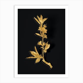 Vintage Pink Flower Branch Botanical in Gold on Black n.0063 Art Print