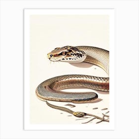 Bullsnake Vintage Art Print