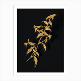 Vintage Birdbill Dayflower Botanical in Gold on Black n.0380 Art Print