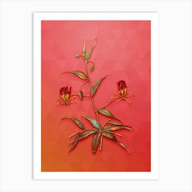Vintage Flame Lily Botanical Art on Fiery Red n.1051 Art Print