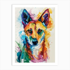 Dingo Colourful Watercolour 3 Art Print