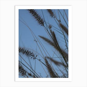 Grass Stock Videos & Royalty-Free Footage Art Print