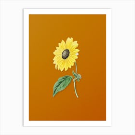 Vintage California Sunflower Botanical on Sunset Orange n.0138 Art Print