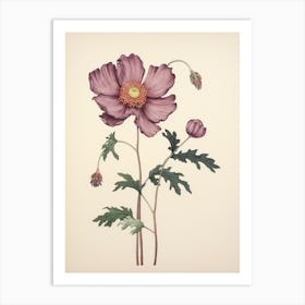 Hanaichige Japanese Anemone 1 Vintage Japanese Botanical Art Print