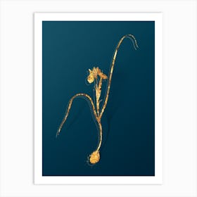 Vintage Barbary Nut Botanical in Gold on Teal Blue Art Print