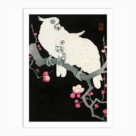 Two Cockatoos On A Branch Art Print