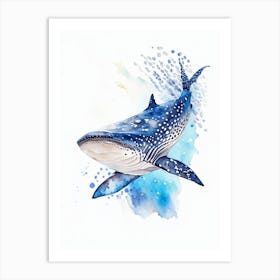 Port Jackson Shark Watercolour Art Print