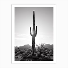 Arizona, Usa, Black And White Analogue Photograph 3 Art Print