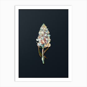 Vintage Leafy Spiked Orchis Flower Botanical Watercolor Illustration on Dark Teal Blue n.0014 Art Print