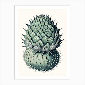 Lophophora Williamsii William Morris Inspired Art Print