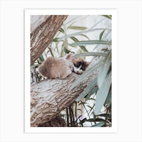 Ikaria, Dreaming Kittens Art Print