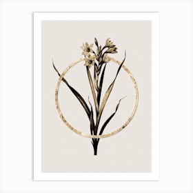 Gold Ring Sword Lily Glitter Botanical Illustration n.0196 Art Print