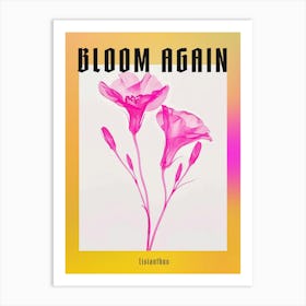 Hot Pink Lisianthus 2 Poster Art Print