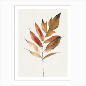 Staghorn Sumac Leaf Minimalist Watercolour Art Print