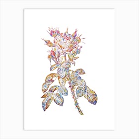Stained Glass Lelieur's Four Seasons Rose Mosaic Botanical Illustration on White n.0068 Art Print