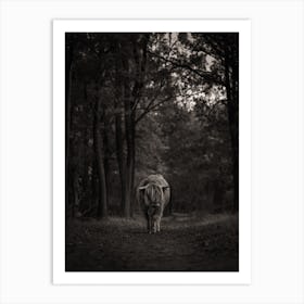 Highland Cow In The Woods | Moody | Black and white | The Netherlands Art Print