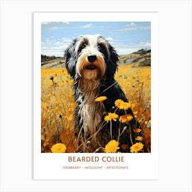 Vintage Bearded Collie Portrait Art Print