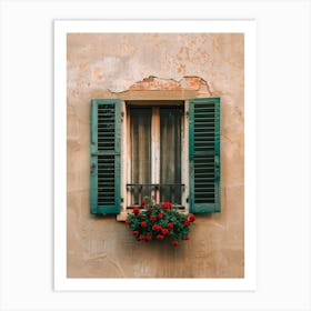 Green Shuttered Window 3 Art Print