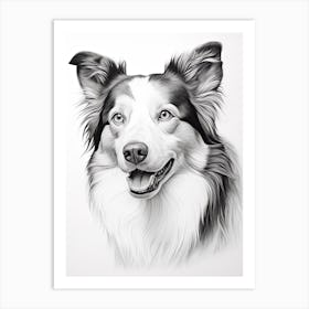 Border Collie Dog, Line Drawing 1 Art Print