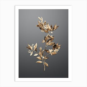 Gold Botanical Fontanesia Phillyreoides on Soft Gray n.3190 Art Print