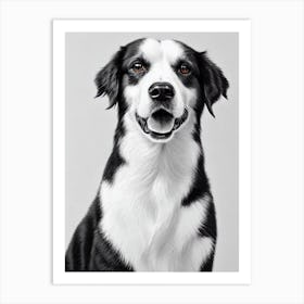 Miniature American Shepherd B&W Pencil Dog Art Print