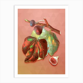 Vintage Black Fig Botanical Art on Peach Pink Art Print